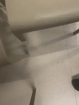 andresbale online show from February 2026 07:47:01 PM