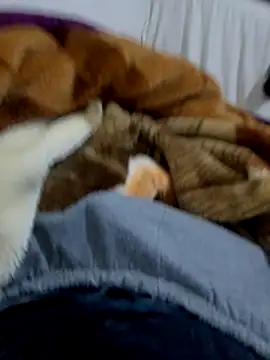 KF hway online show from March 2026 07:51:01 PM