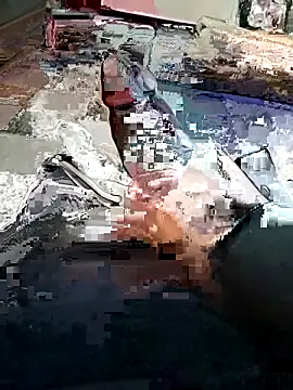 yacinekabiley16 online show from February 2026 12:49:01 PM