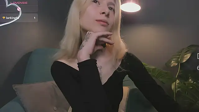 error occurred  online show from February 2026 12:14:02 PM