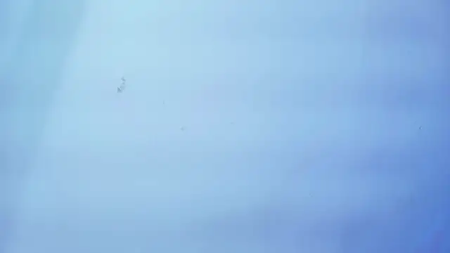 Snapshot of Nicole_sounders chatting on January 2026 11:25:01 AM Nicole sounders online show from January 2026 11:25:01 AM