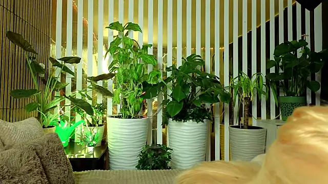 Snapshot of FlowweerGirl chatting on December 2025 09:42:02 PM FlowweerGirl online show from December 2025 09:42:02 PM