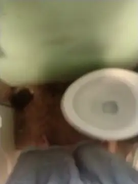 bigjohnson2914 online show from March 2026 01:05:02 PM