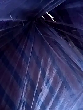 ava-dellght online show from April 2026 06:07:02 AM