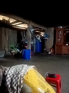 ava-dellght online show from February 2026 02:28:01 AM