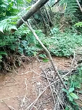 ava-dellght online show from January 2026 02:37:02 AM