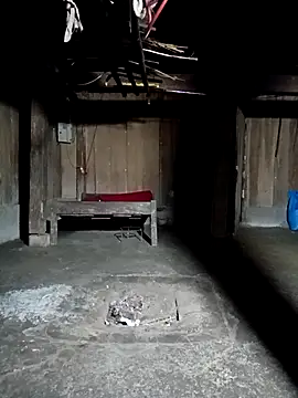 ava-dellght online show from March 2026 12:28:02 PM