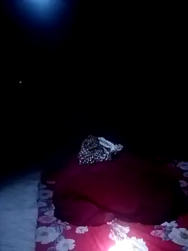 ava-dellght online show from March 2026 04:08:02 PM