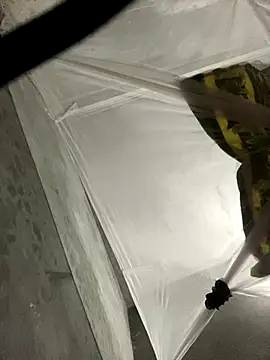 Wendy-babyy online show from December 2025 04:44:01 PM