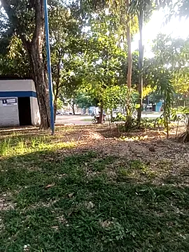 Mchljjk online show from January 2026 08:23:01 PM