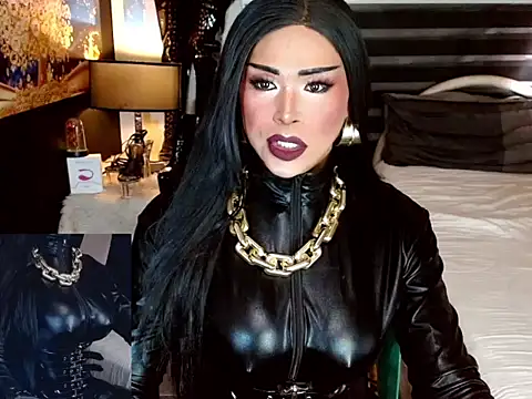 Snapshot of sheenavi chatting on February 2026 06:47:02 AM sheenavi online show from February 2026 06:47:02 AM