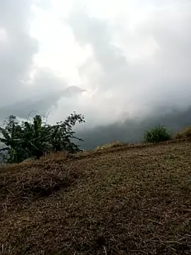 sary-hot2x online show from March 2026 02:23:01 AM