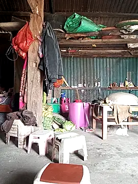 sary-hot2x online show from March 2026 04:13:01 AM