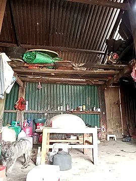 sary-hot2x online show from March 2026 05:17:01 AM