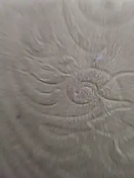 Snapshot of Rent_your_boyfriend chatting on January 2026 08:42:01 AM Rent your boyfriend online show from January 2026 08:42:01 AM