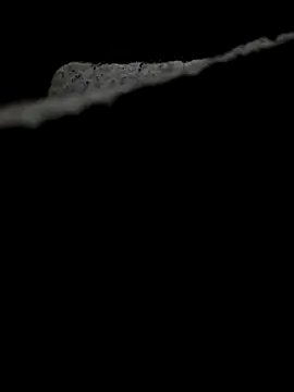 Snapshot of 634Josh chatting on December 2025 08:36:01 AM 634Josh online show from December 2025 08:36:01 AM