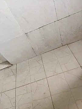 BoyMuslimTelugu online show from December 2025 05:34:02 AM