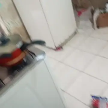  - -lu - online show from December 2025 04:06:01 PM