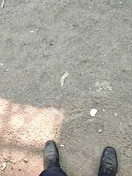 boyfromMum bai online show from January 2026 09:37:02 AM