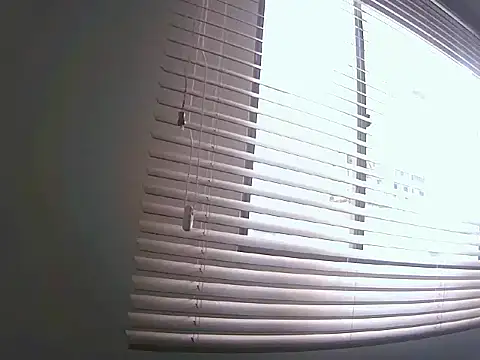 Fernanda andrew online show from March 2026 03:44:01 PM