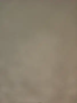 Bigkannan online show from January 2026 08:43:02 AM