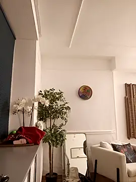 jefflatex45 online show from December 2025 08:31:02 PM