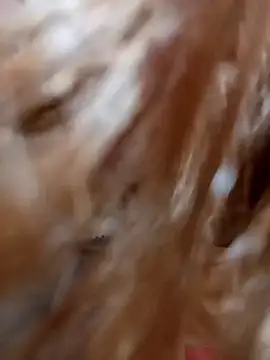 Snapshot of Miina-2000 chatting on December 2025 11:48:02 PM Miina-2000 online show from December 2025 11:48:02 PM