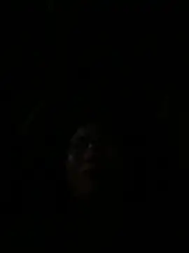 vero-obc online show from April 2026 12:52:02 AM