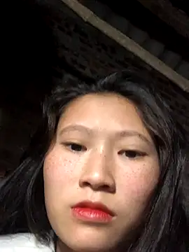 Snapshot of vero-obc chatting on December 2025 12:54:02 AM vero-obc online show from December 2025 12:54:02 AM