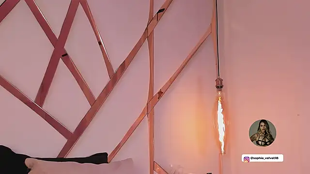 Snapshot of Sophie-velvet chatting on February 2026 08:19:01 PM Sophie-velvet online show from February 2026 08:19:01 PM