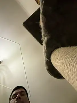 CharlyAlfa22 online show from February 2026 11:26:02 PM