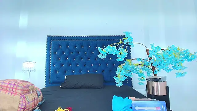 Velora nigth online show from April 2026 11:45:01 AM