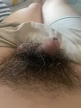 Snapshot of hairylittledic chatting on July 2026 11:38:02 PM hairylittledic online show from July 2026 11:38:02 PM