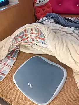 Alone nothing online show from February 2026 01:51:02 AM