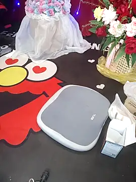 Alone nothing online show from December 2025 10:28:02 AM