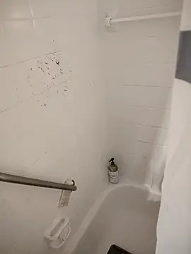 SpiderRose online show from February 2026 02:08:01 PM