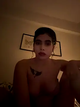 Wailsaa sdf online show from December 2025 08:14:01 PM