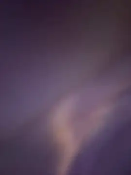 Wailsaa sdf online show from February 2026 01:20:01 PM