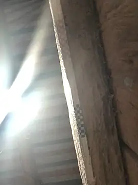 bae-asian online show from April 2026 09:49:01 PM