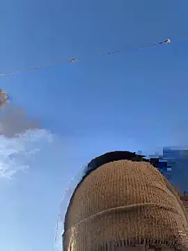 Big German cock974 online show from December 2025 01:46:01 PM