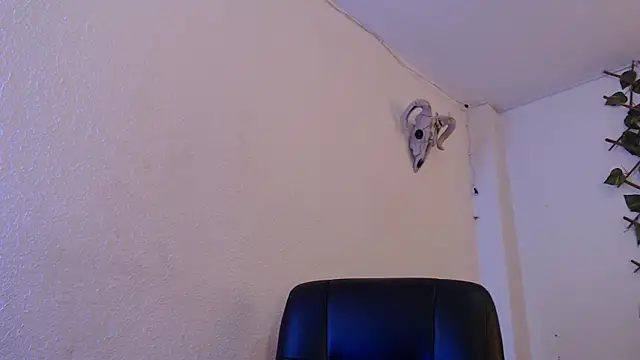 kingdani hot online show from December 2025 03:20:02 AM