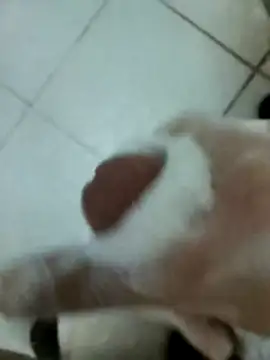 Amoooooun online show from December 2025 09:14:01 AM