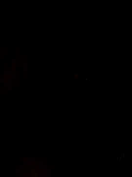 nehakapoor89 online show from December 2025 07:41:01 PM