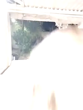 SexyAssQueenX online show from January 2026 02:15:02 AM