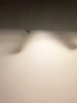 Lassie Cassie online show from February 2026 05:05:01 AM