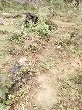 neko-nancy online show from January 2026 07:57:01 AM