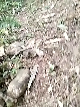 neko-nancy online show from January 2026 03:10:02 AM