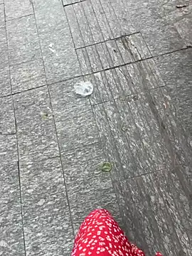 qwe522522 online show from April 2026 07:09:02 AM