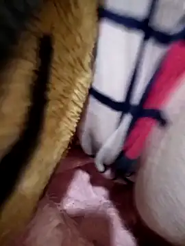 Kahbaocha online show from February 2026 07:33:01 PM