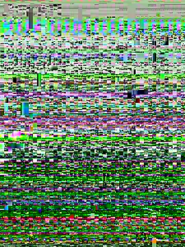 Snapshot of P0rco89 chatting on January 2026 11:00:02 PM P0rco89 online show from January 2026 11:00:02 PM